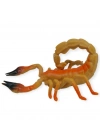 Böcek Figürleri - Gerçekçi Figür - Akrep Figürü 12 cm