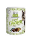 Brit Care Süper Fruits Tavuklu Kedi Ödül Maması 1 Adet 100 Gr