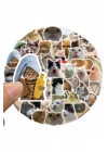 Çılgın Kediler Macbook Notebook Tablet Telefon Ajanda Laptop Defter Sticker Seti