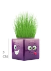 Çim Adam Mini Küp Emoji Figürlü 1 Adet