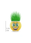 Çim Adam Saksı Emoji Figürlü 1 Adet