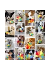 Çıngıraklı Peluş Frizbi Evcil Hayvan Oyuncağı