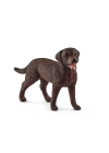 ÇOK SATAN 13834 Schleich - Dişi Labrador Retriever  +3 yaş