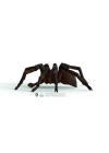 ÇOK SATAN 13987 Schleich - Aragog - Harry Potter Serisi +3 yaş