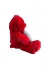 ÇOK SATAN 30 CM AY YILDIZ TEMALI AYICIK -HLY