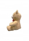ÇOK SATAN 35 CM PATİLEN KALPLİ AYI -HLY