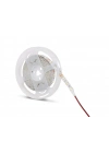 ÇOK SATAN 5 Metre NOAS YL40 4006 İç Mekan 12V Amber Şerit Led
