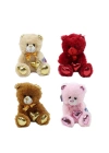 ÇOK SATAN 62500 Parlak Kalpli Peluş Ayı 30 cm