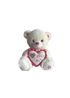 ÇOK SATAN 62953 35 cm Kalpli Peluş Ayı