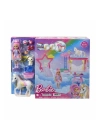 ÇOK SATAN Barbie A Touch Of Magic Chelsea ve Pegasus Oyun Seti HNT67