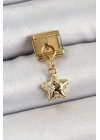 ® 316L Çelik Sallantılı Zirkon Taşlı Yıldız Model Gold Renk Nomination Charm