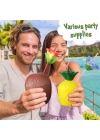 Ananas&Hindistan Cevizi Tasarımlı Pipetli Bardak Seti (6 Adet)