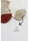 ®   2Li Love Dog Penye Soket Çorap 10118 Bej