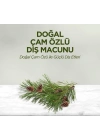 ®   Doğal Diş Macunu 90 Gr Çam Özlü