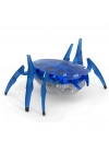 ® HexBots Nano Scarab & Beetle