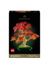® Botanicals Japon Kırmızı Akçaağaç Bonsai Ağacı 10348