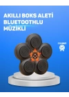 ® Müzikli Boks Duvar Paneli Akıllı Işık Sistemli Refleks ve Kondisyon Aleti