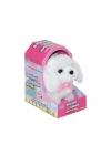 ® 47100 Sevimli Köpek Maltese -