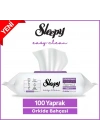 ®   Yüzey Temizlik Havlusu 100 Adet  e