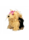 Sevimli Köpek Terrier