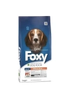 ÇOK SATAN Foxy Balıklı Yetişkin Köpek Maması 15 Kg