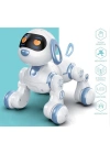 ÇOK SATAN GAW-6601 Kumandalı İnteraktif Akıllı Robot Köpek