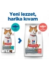 ÇOK SATAN Hills Somonlu Kısırlaştırılmış Yetişkin Kedi Maması 8+2 Kg Hediyeli