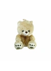 ÇOK SATAN PABX21957-20 Peluş Ayı Kurdelalı 20 cm