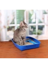 ÇOK SATAN Reflex Sensitive Kokusuz Bentonit Doğal Kedi Kumu 6 Lt