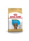 ÇOK SATAN Royal Canin Cocker Junior Yavru Köpek Maması 3 Kg