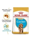 ÇOK SATAN Royal Canin Cocker Junior Yavru Köpek Maması 3 Kg