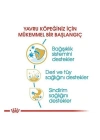 ÇOK SATAN Royal Canin Cocker Junior Yavru Köpek Maması 3 Kg