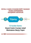 ÇOK SATAN Royal Canin Cocker Junior Yavru Köpek Maması 3 Kg