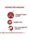 ÇOK SATAN Royal Canin Fit 32 Yetişkin Kedi Maması 2 Kg