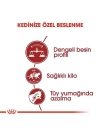 ÇOK SATAN Royal Canin Fit 32 Yetişkin Kedi Maması 4 Kg