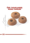 ÇOK SATAN Royal Canin Fit 32 Yetişkin Kedi Maması 4 Kg
