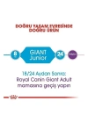 ÇOK SATAN Royal Canin Giant Junior Dev Irk Yavru Köpek Maması 15 Kg