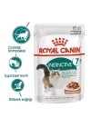 ÇOK SATAN Royal Canin İnstinctive +7 Pouch Yaşlı Konserve Kedi Maması 85 Gr