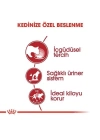 ÇOK SATAN Royal Canin İnstınctive Jelly Pouch Konserve Kedi Maması 85 Gr