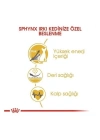 ÇOK SATAN Royal Canin Tüysüz Sphynx Cinsi Yetişkin Kedi Maması 2 Kg