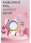 ÇOK SATAN Taşınabilir Rgb Işılı Sevimli Figürlü Mikrofonlu Karaoke Bluetooth Hoparlör