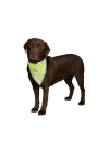 ÇOK SATAN Trixie Köpek Bandanalı Tasma Xlarge 42-60 Cm