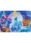 CRL 714 CINDERELLA PUZZLE 100