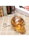 Crystal Head Kuru Kafa Cam Şişe 350 Ml