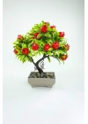 Dekor Ağaç Bereket Nar Ağacı Saksılı Dekoratif Ağaç Biblo 24x13 cm