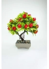 Dekor Ağaç Bereket Nar Ağacı Saksılı Dekoratif Ağaç Biblo 24x13 cm