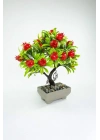 Dekor Ağaç Bereket Nar Ağacı Saksılı Dekoratif Ağaç Biblo 24x13 cm