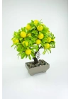 Dekor Ağaç Limon Ağacı Saksılı Dekoratif Ağaç Biblo 24x13 cm