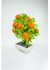 Dekor Ağaç Portakal Ağacı Saksılı Dekoratif Ağaç Biblo 24x13 cm