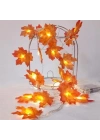 Dekoratif Sonbahar Yapraklı Şerit LED Işık